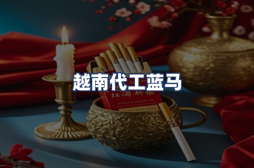 越南代工蓝马